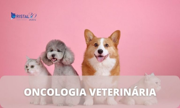 Oncologia Veterinária